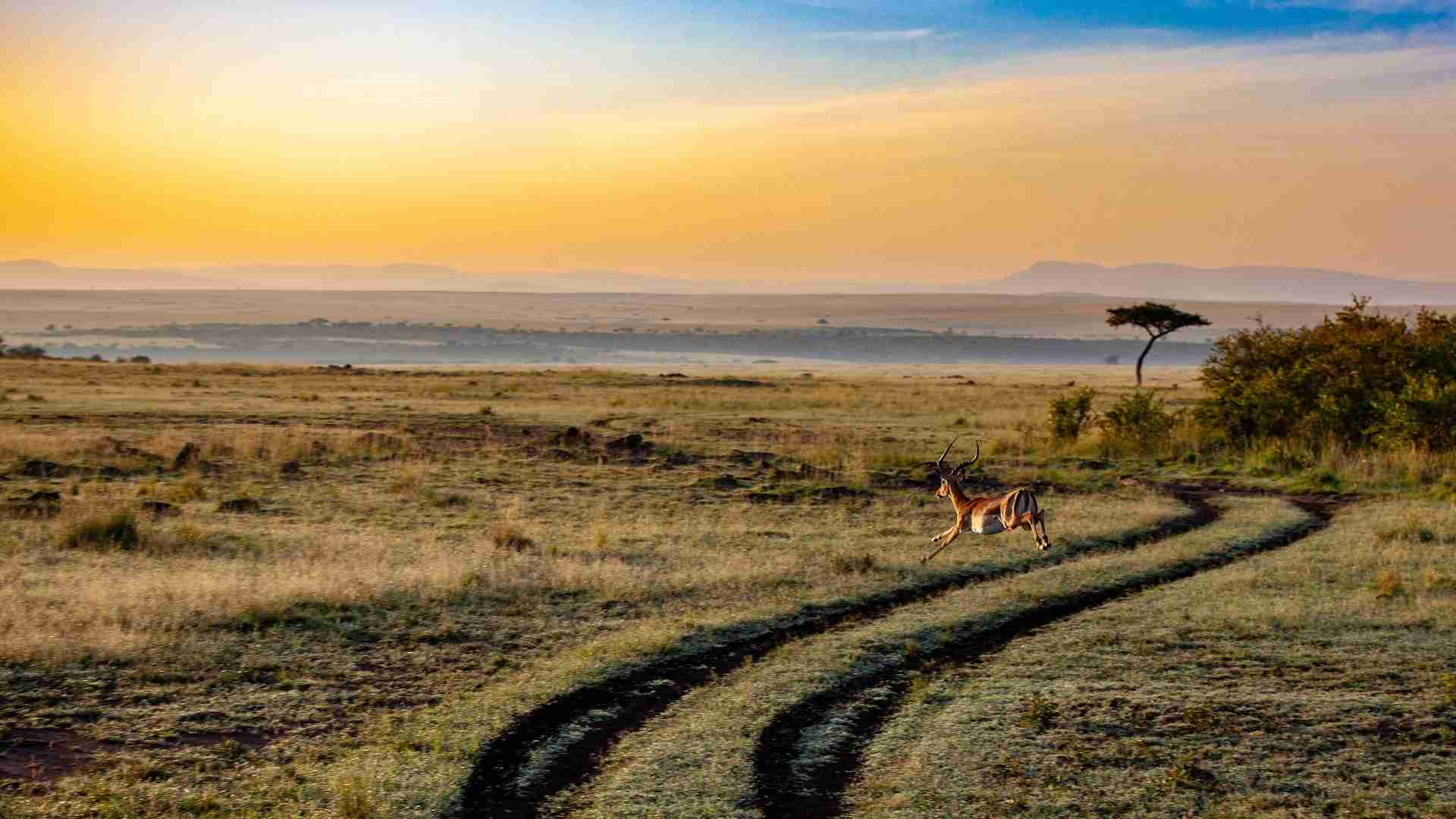 AFRIQUE DU SUD (7)-compressed