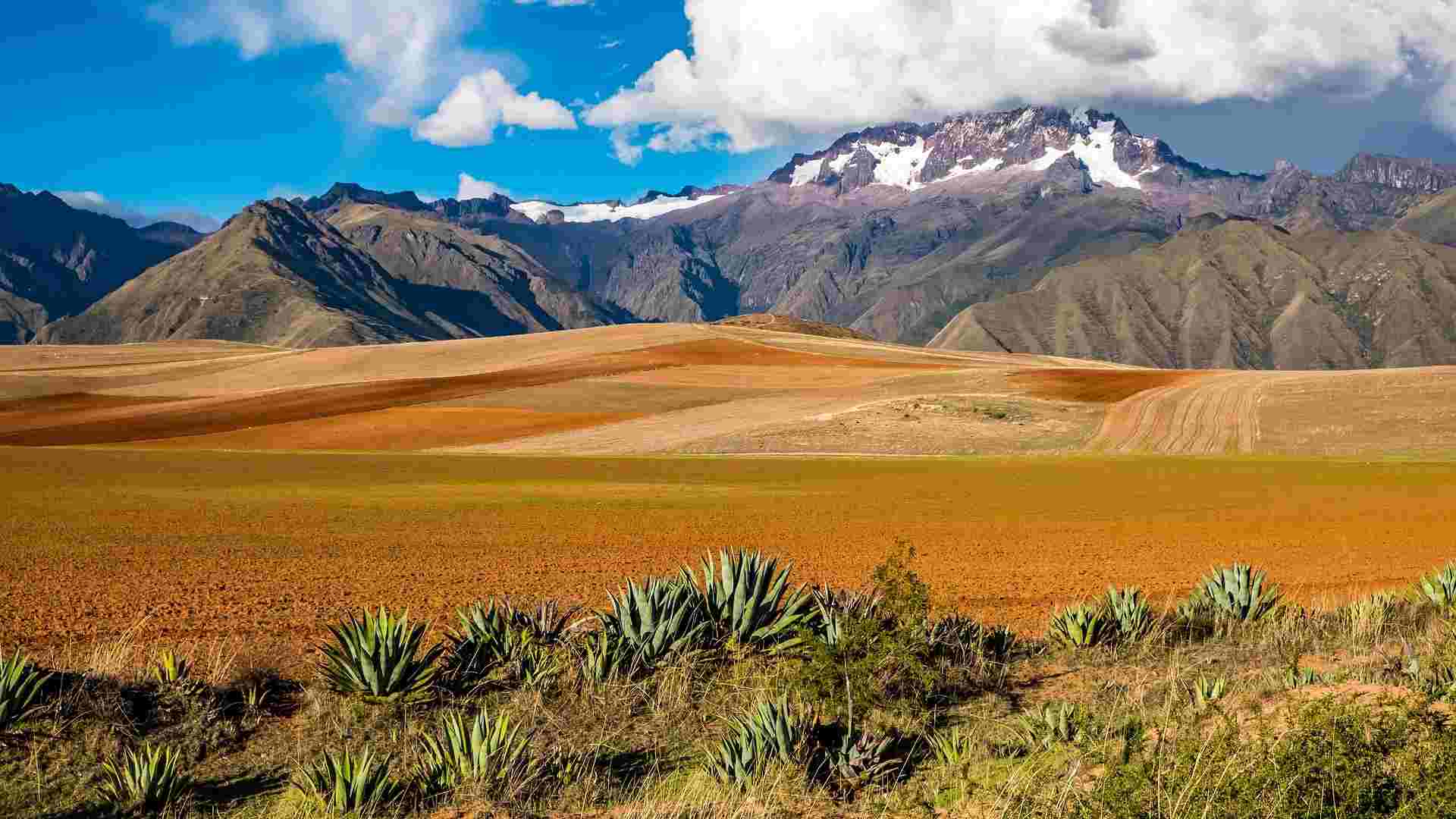 BOLIVIE (11)-compressed