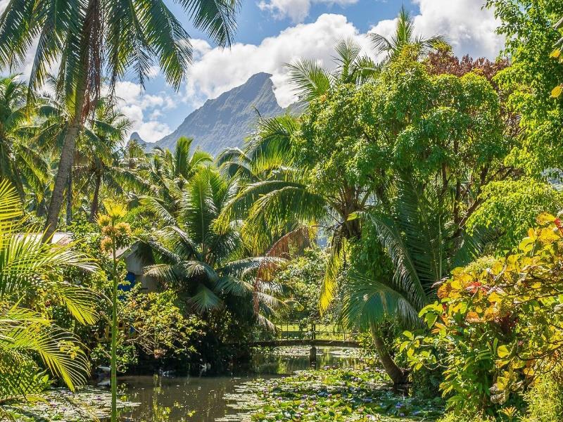 POLYNESIE FRANCAISE