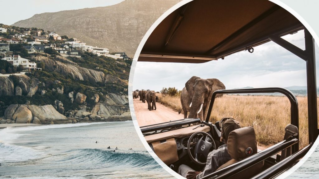 AFRIQUE DU SUD ARTICLE