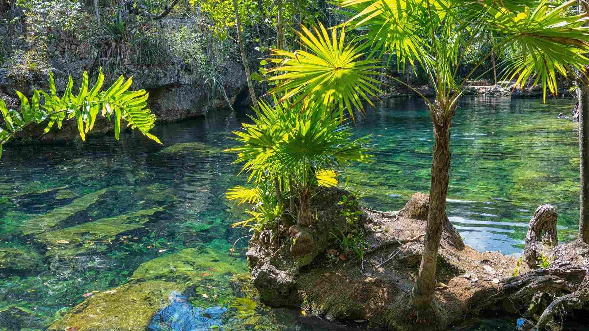 MEXIQUE CENOTE (2)-compressed