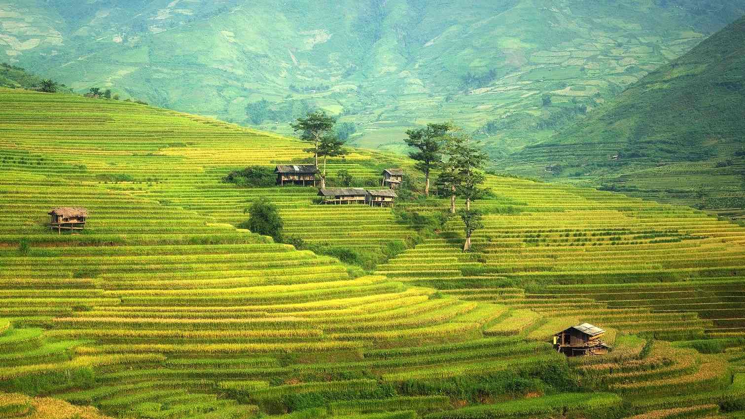 CHINE (66)-compressed