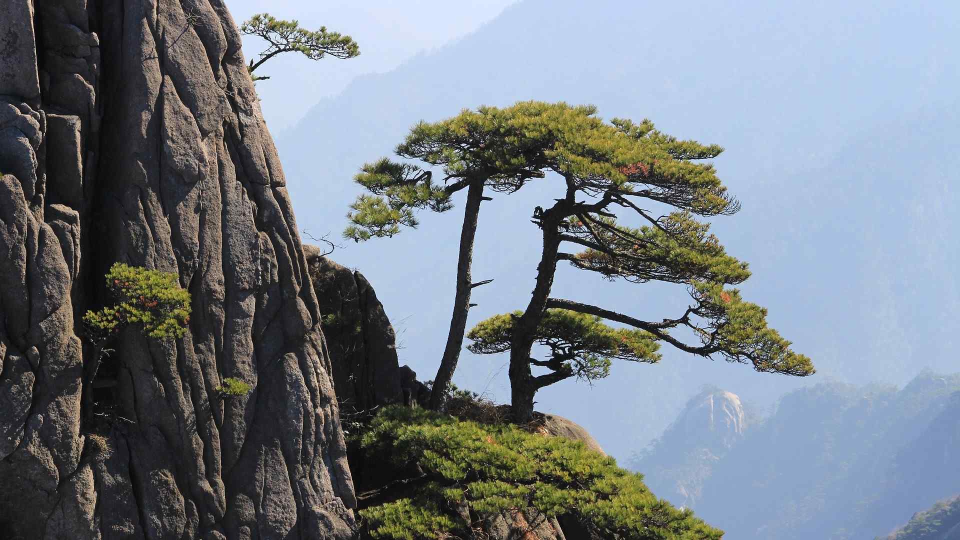 CHINE (70)-compressed
