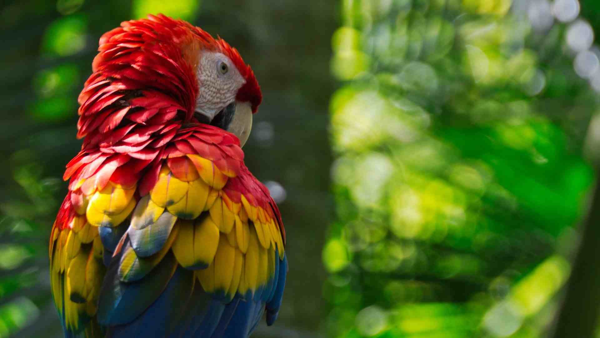 COSTA RICA (31)-compressed