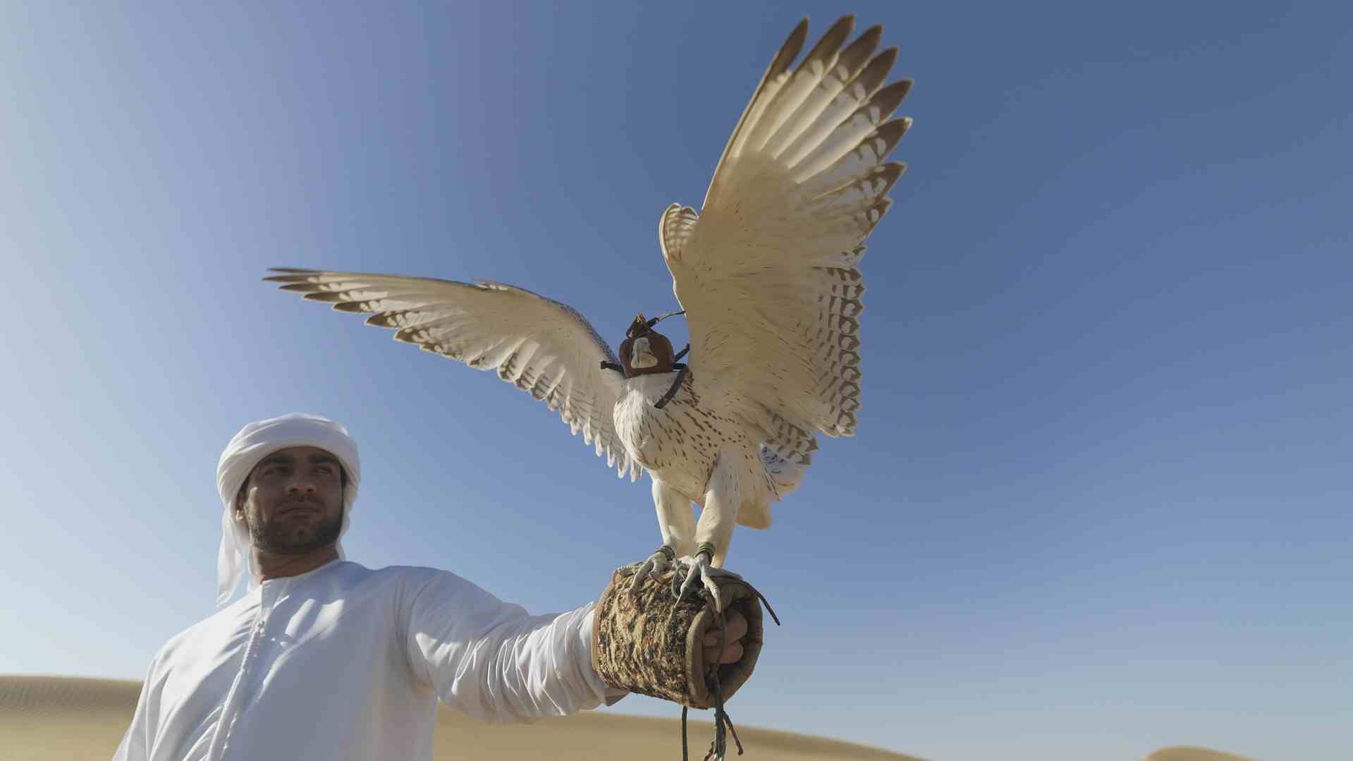 EMIRATS ARABES UNIS (9)-compressed