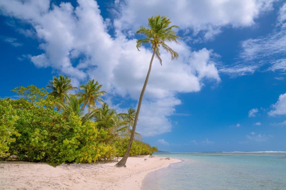 GUADELOUPE (5)