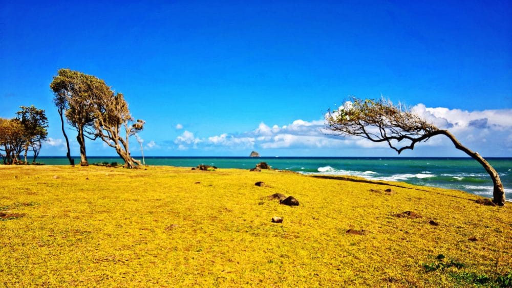 GUADELOUPE (7)