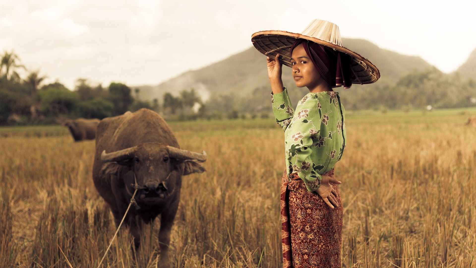 INDONESIE (179)-compressed