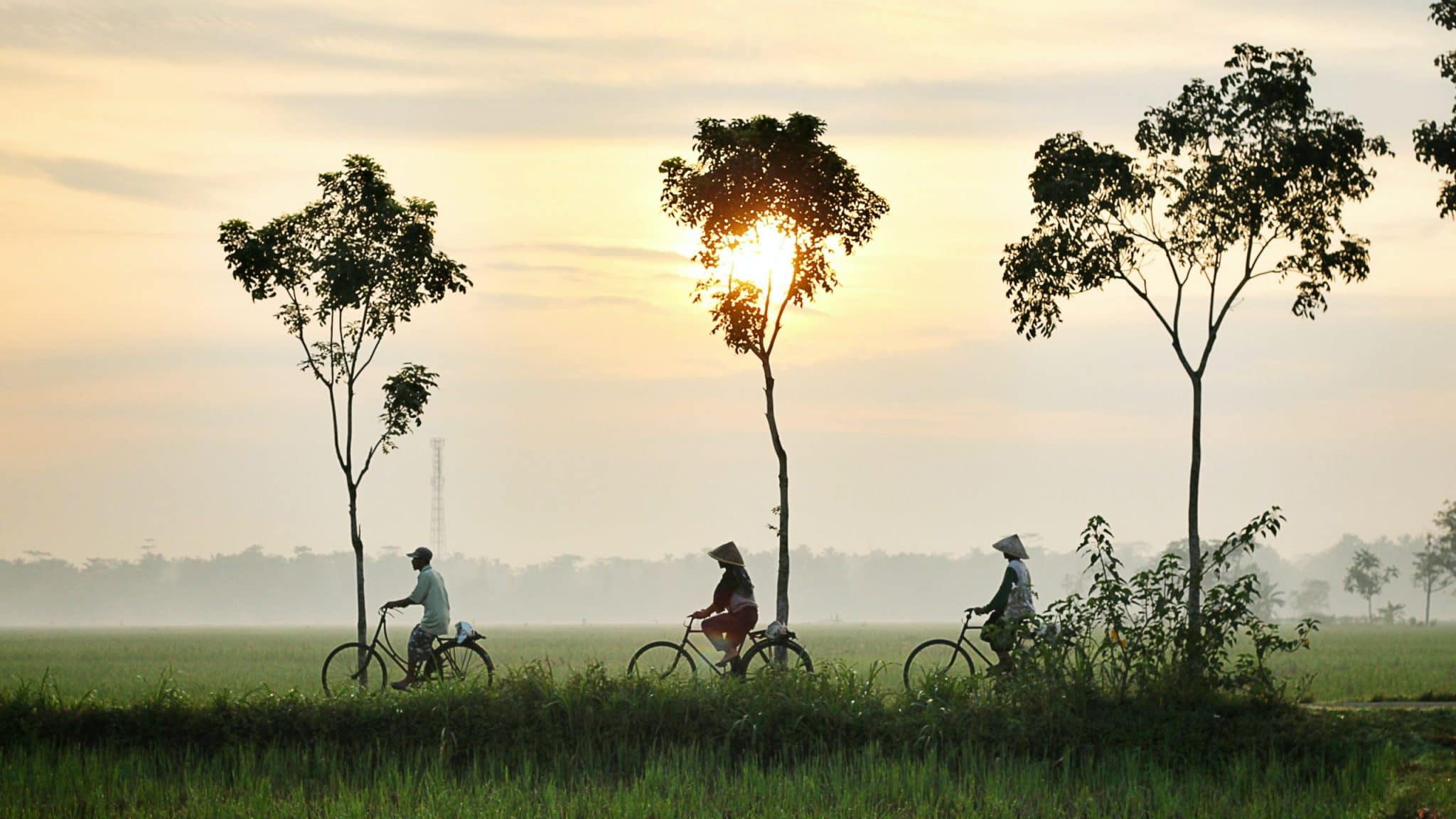 INDONESIE (2)