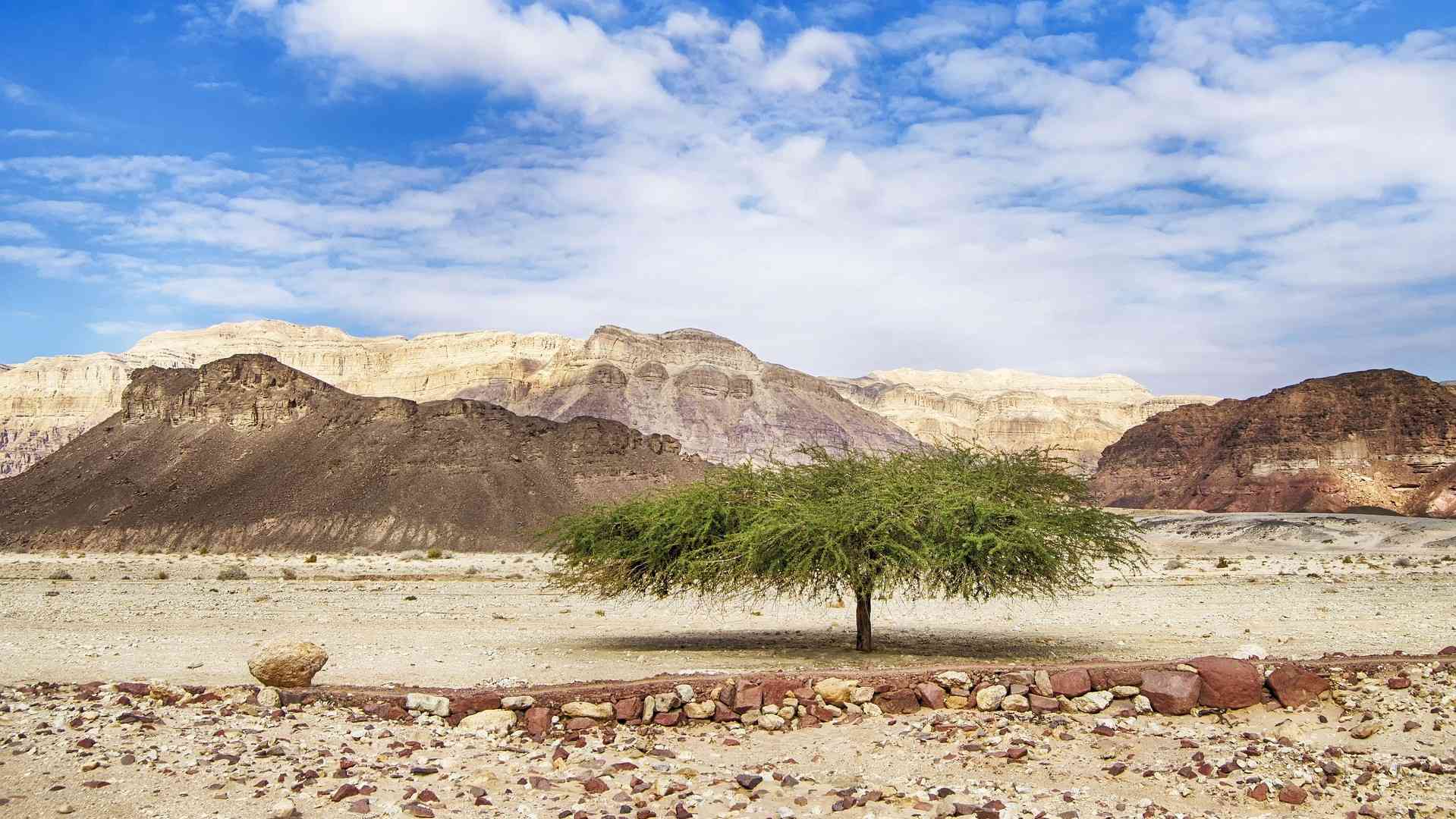 ISRAEL (51)-compressed