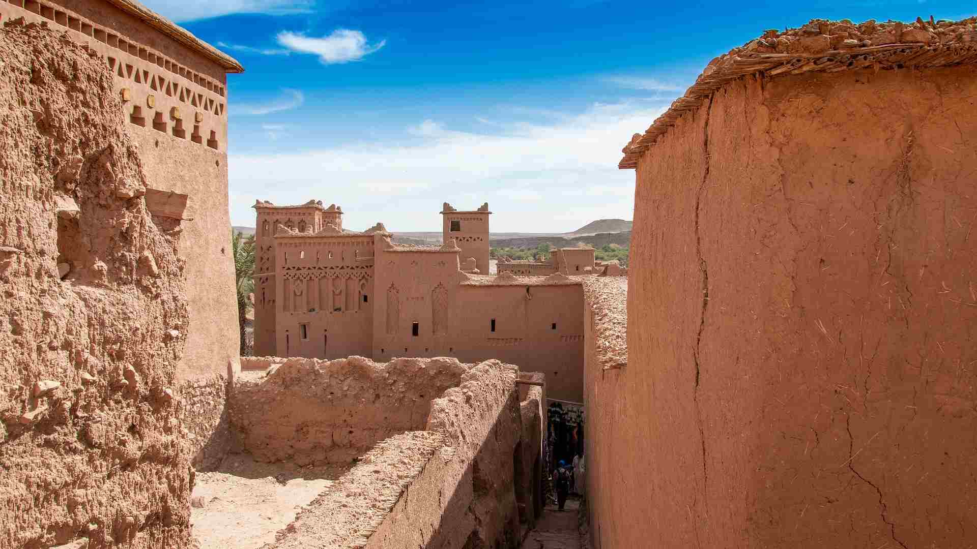 MAROC (17)-compressed