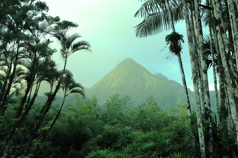 MARTINIQUE (12)