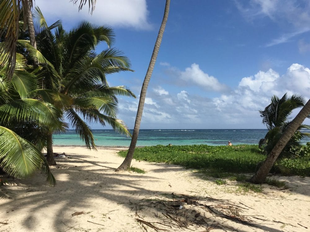 MARTINIQUE (26)