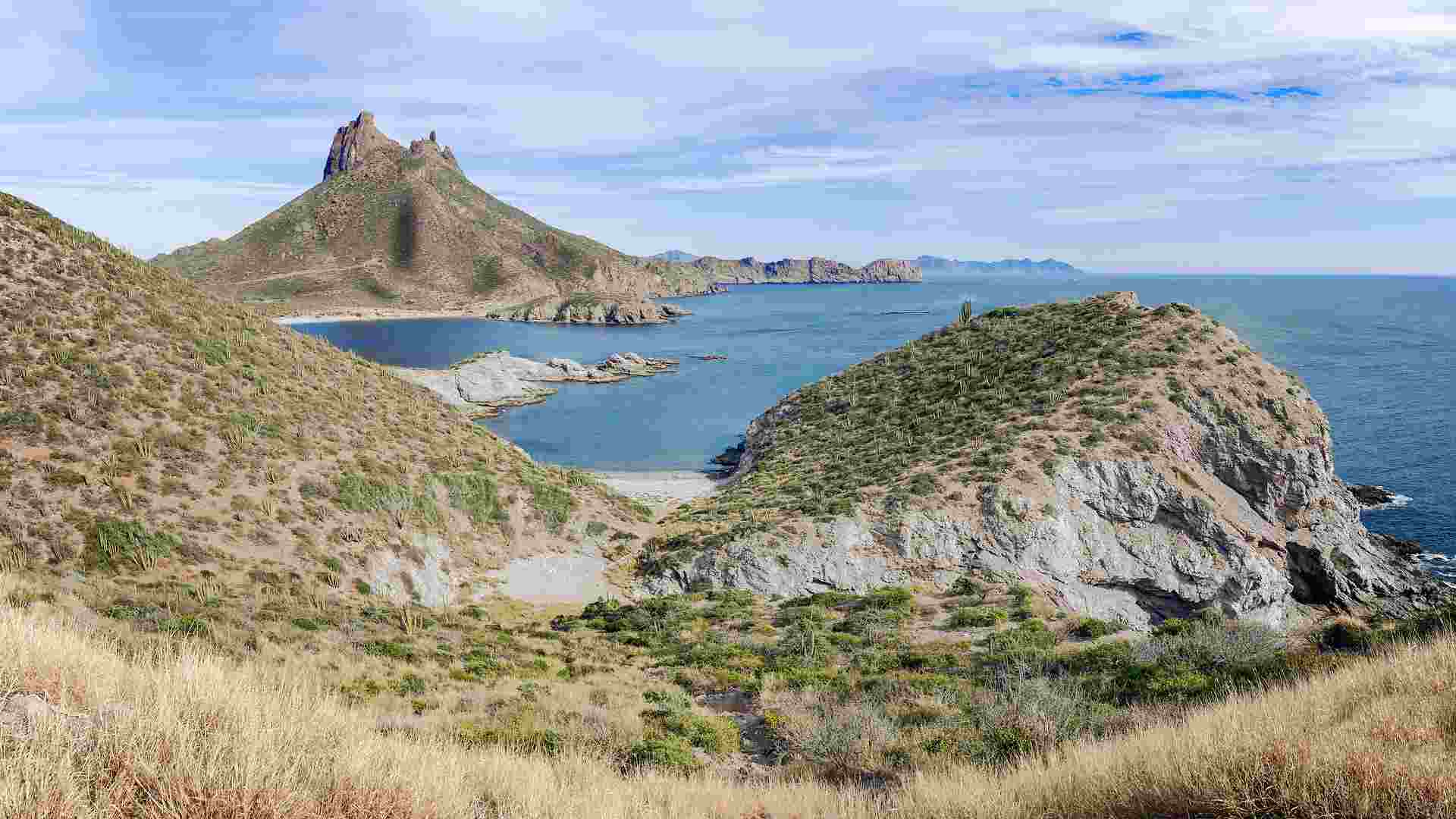 MEXIQUE Basse Californie (11)-compressed