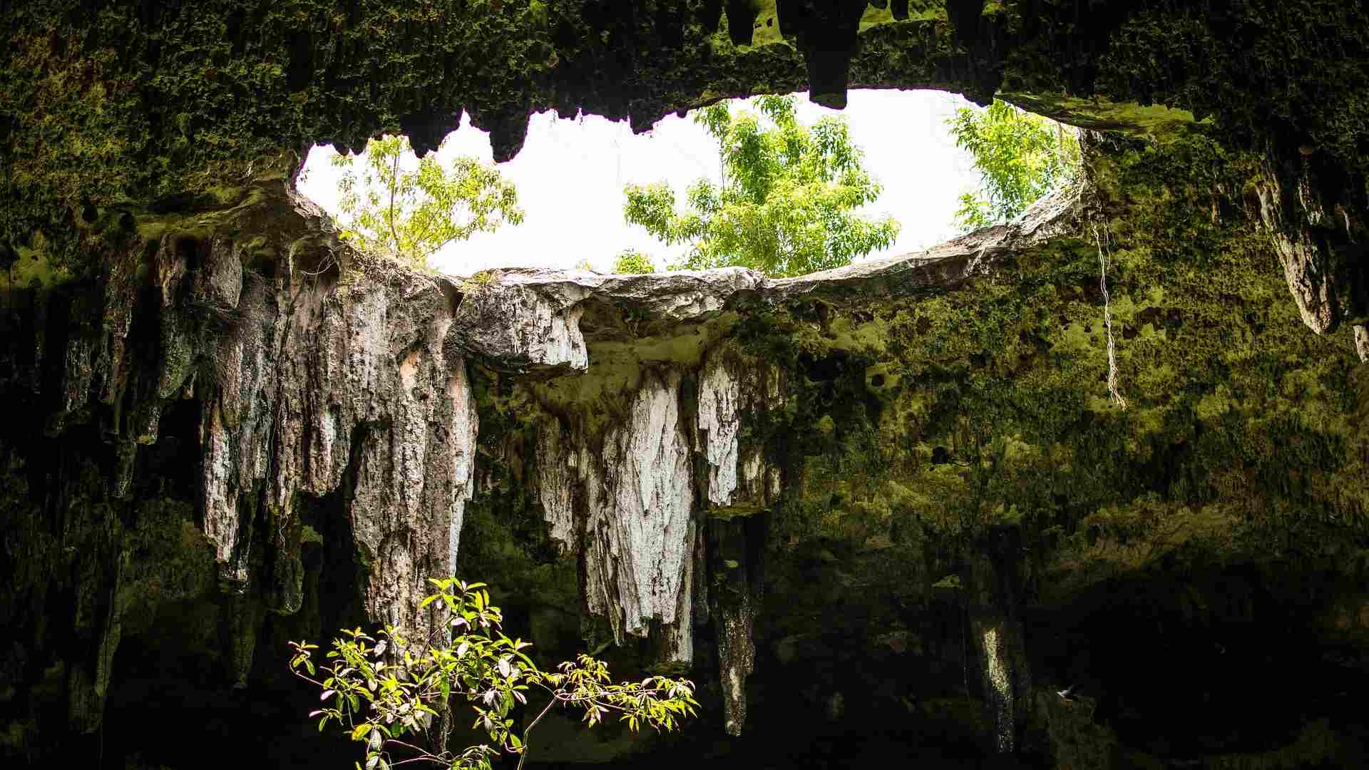 MEXIQUE CENOTE (5)-compressed