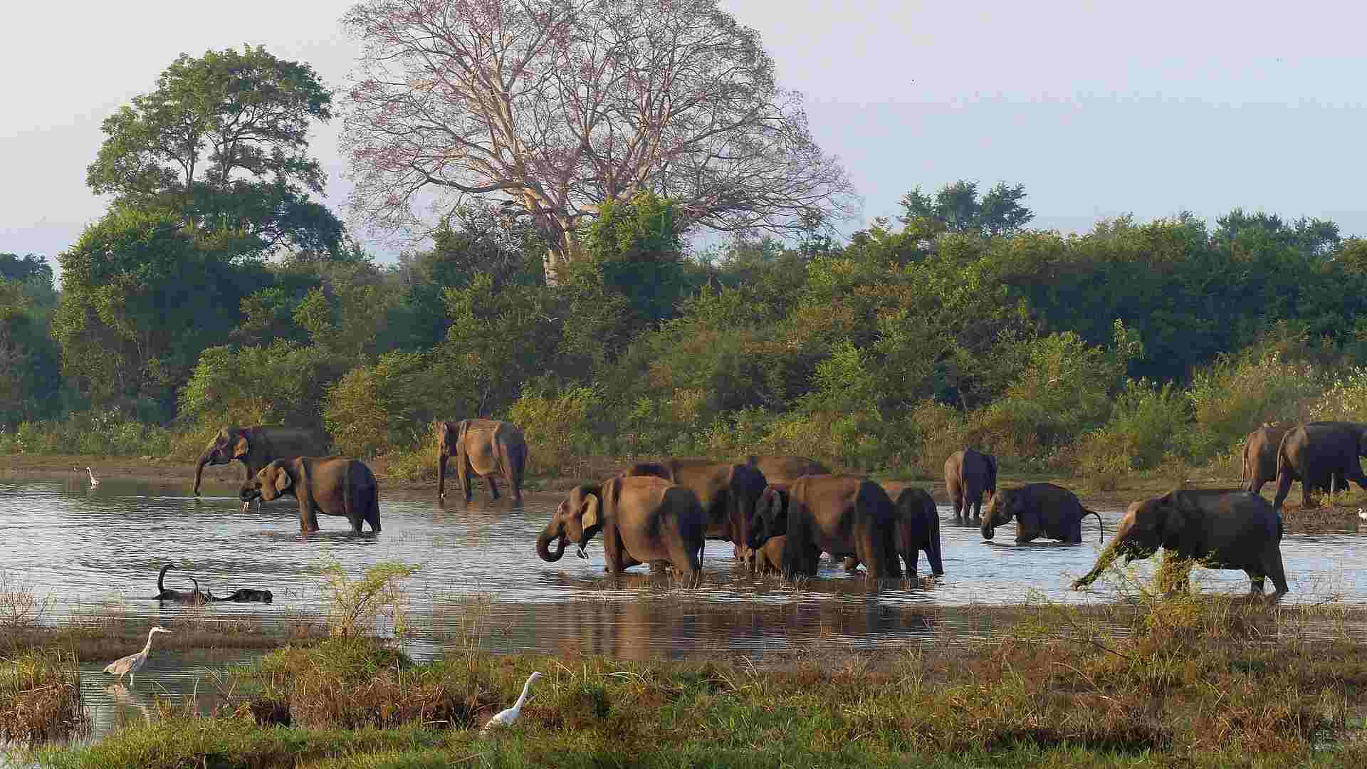 SRI LANKA (2)-compressed