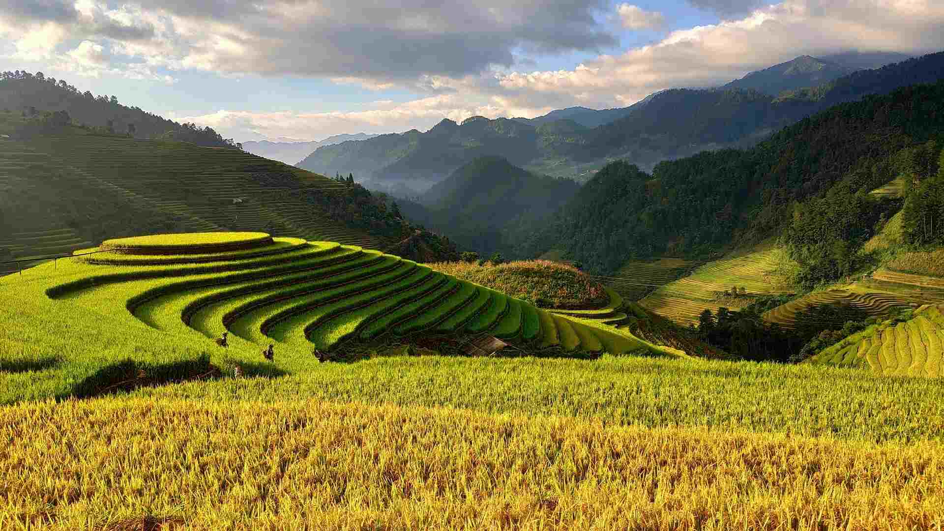 VIETNAM (2)-compressed