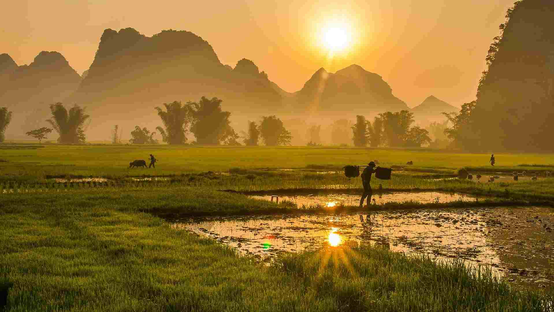 VIETNAM (34)-compressed