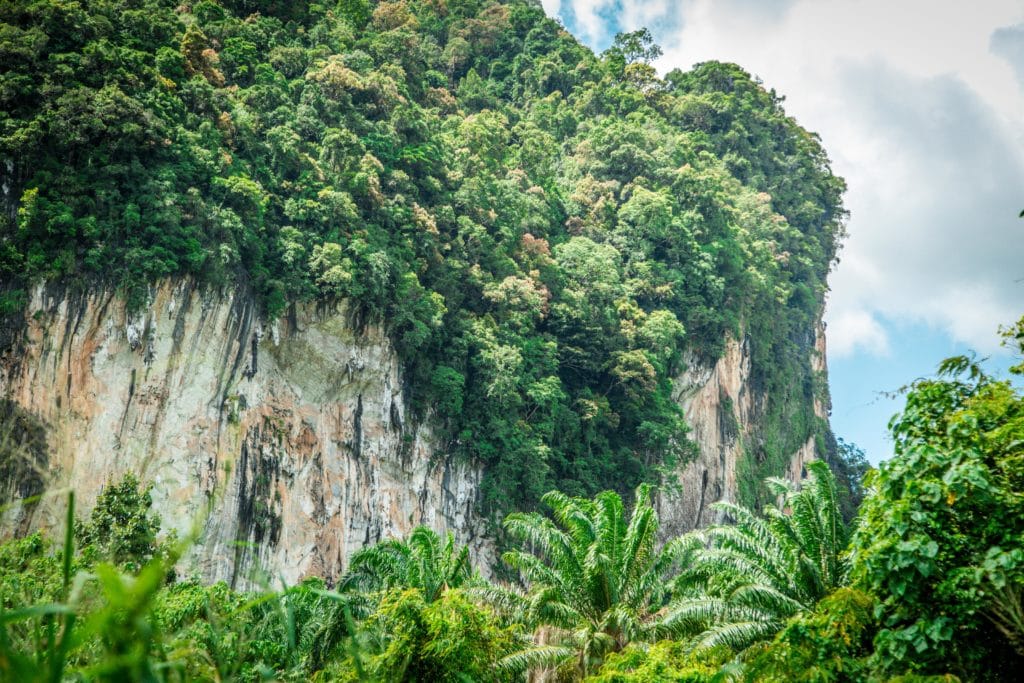NatureMind-ED Montagne Spirit Mountain Thaïlande