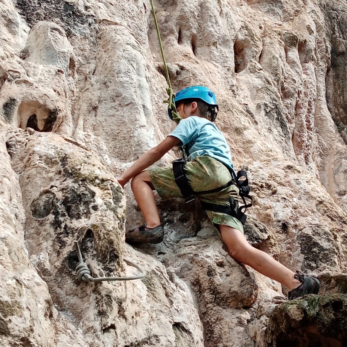 NatureMind-ED Un enfant gravit un mur d'escalade en étant sécurisé par un accmpagnateur