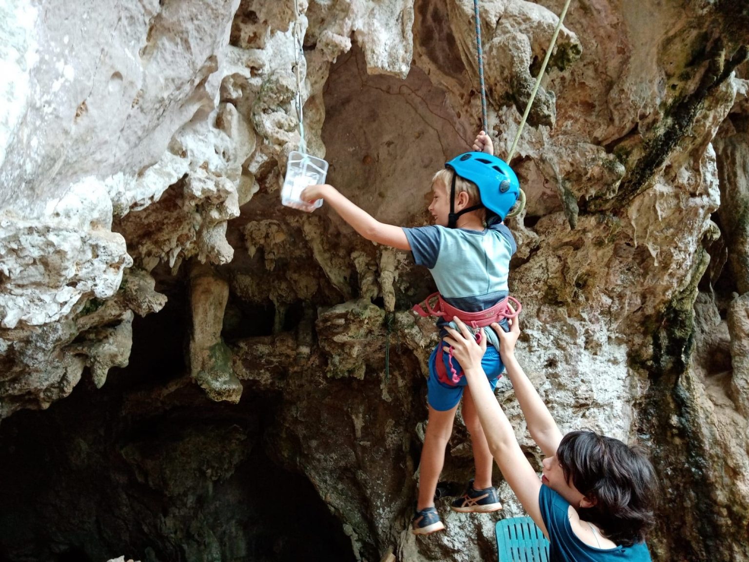 NatureMind-ED Un enfant récupère les graines à travers un jeu d'escalade