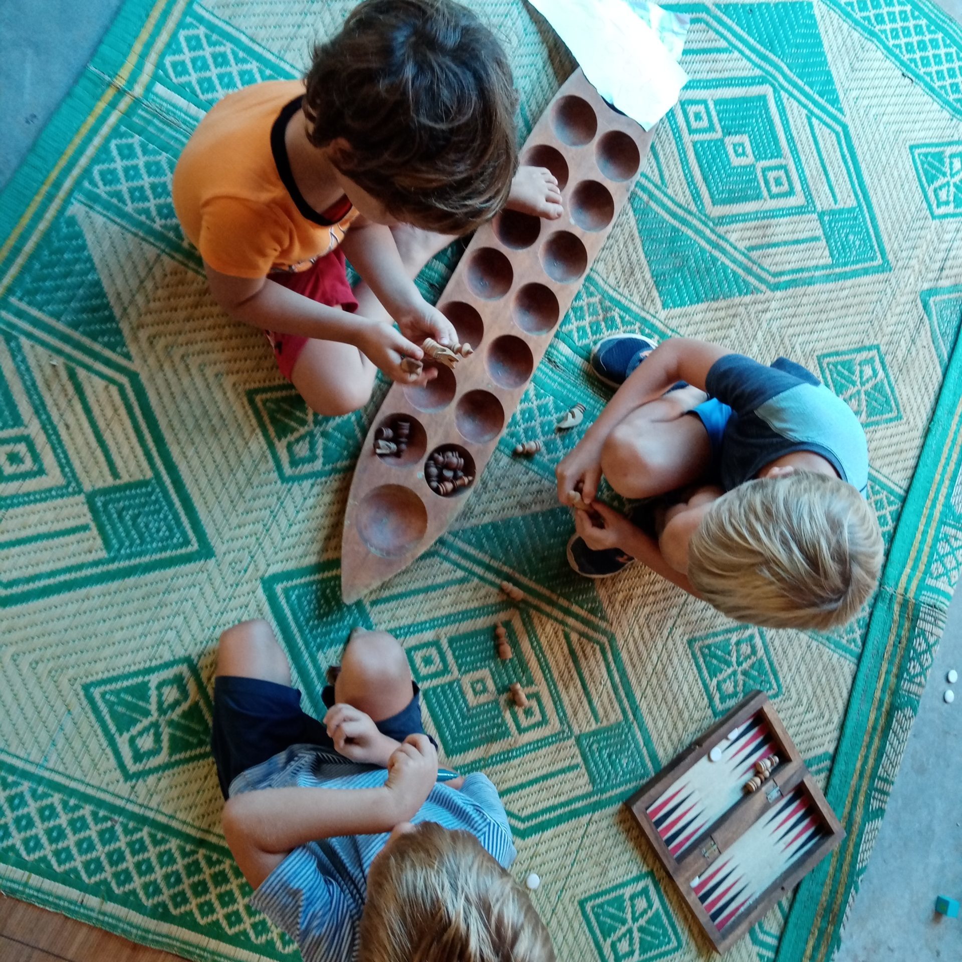 NatureMind-ED Des enfants trient les graines récoltées