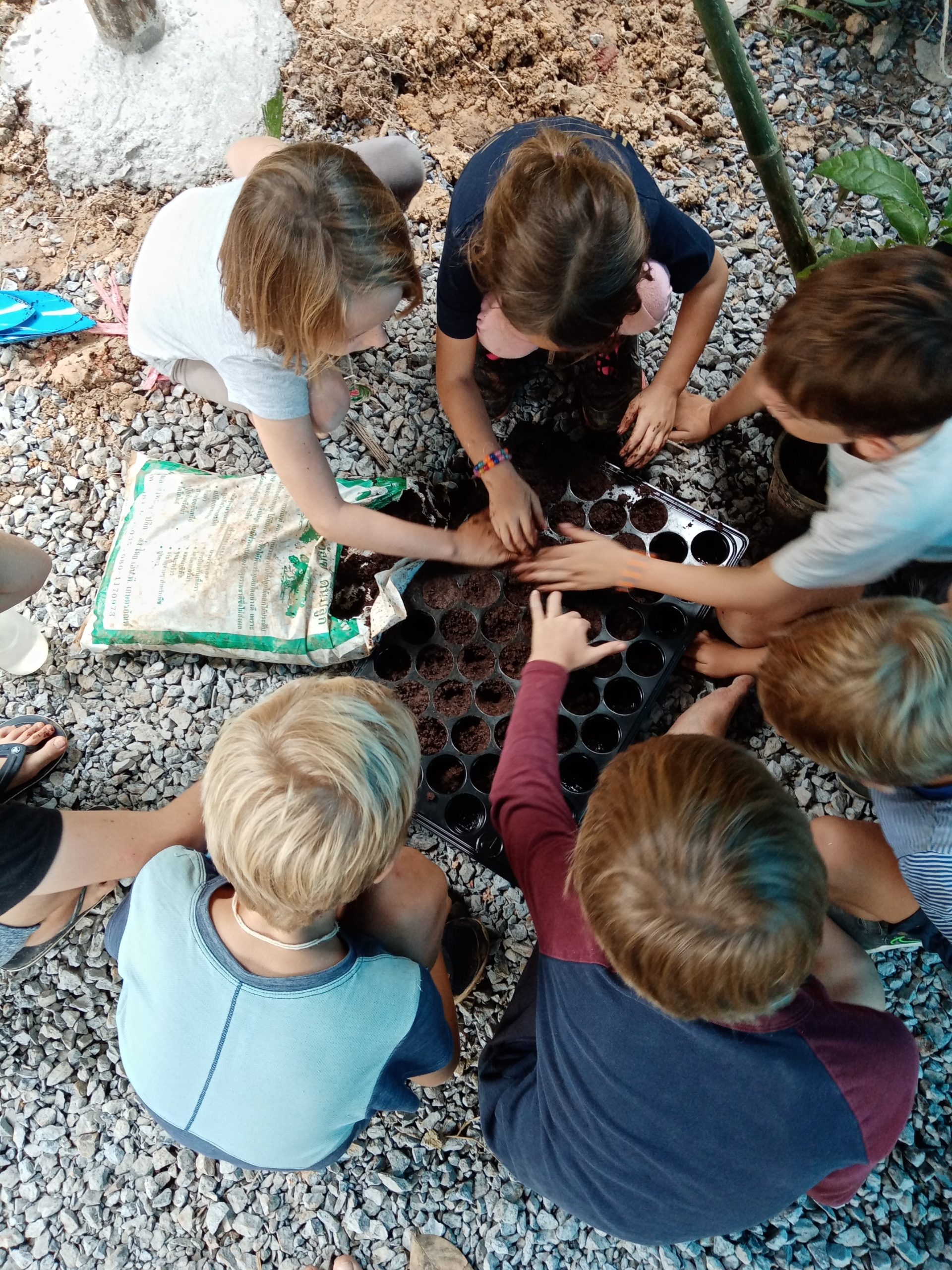 NatureMind-ED Les enfants plantent les graines durement récoltées