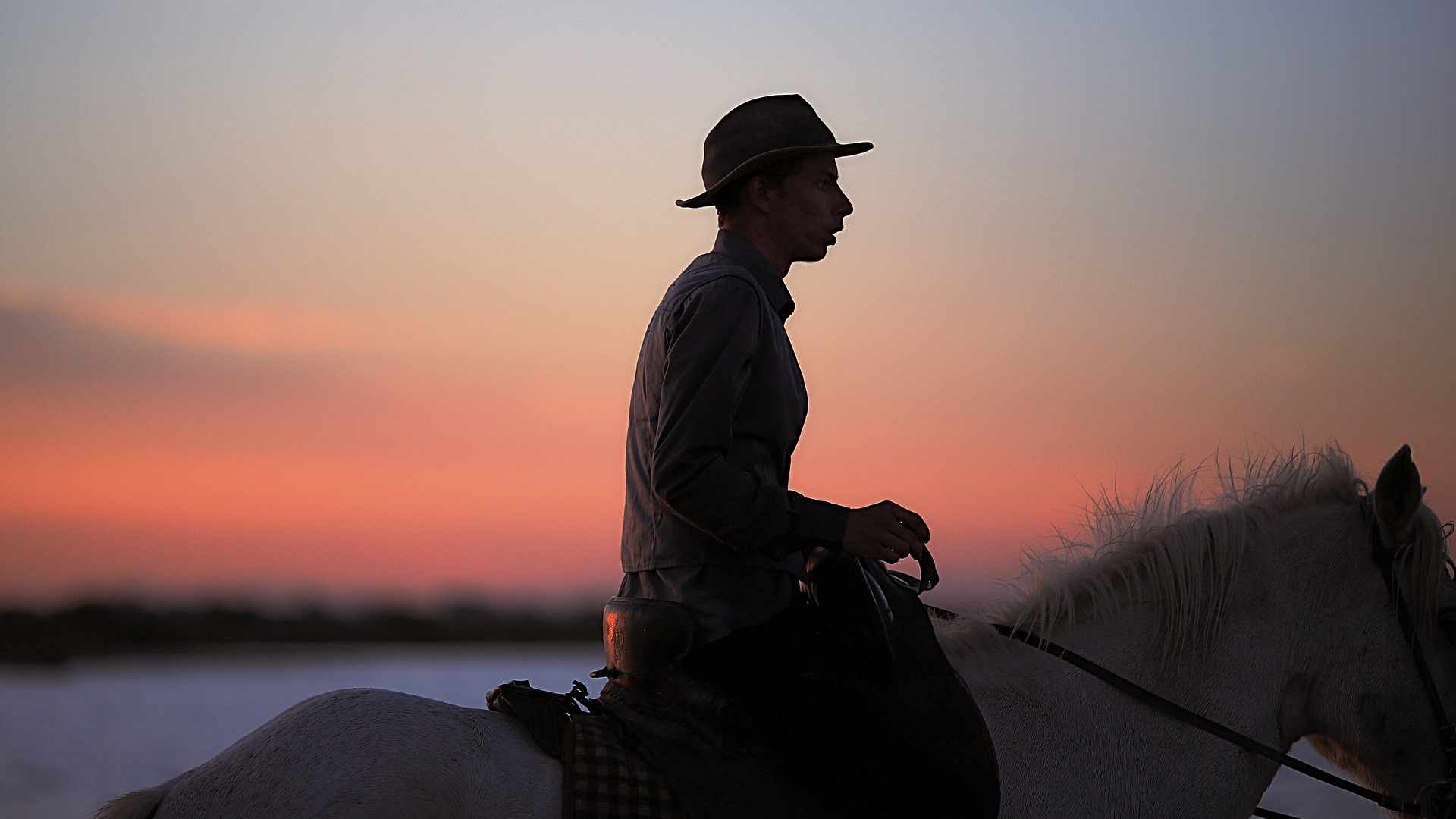 CAMARGUE (1)-compressed