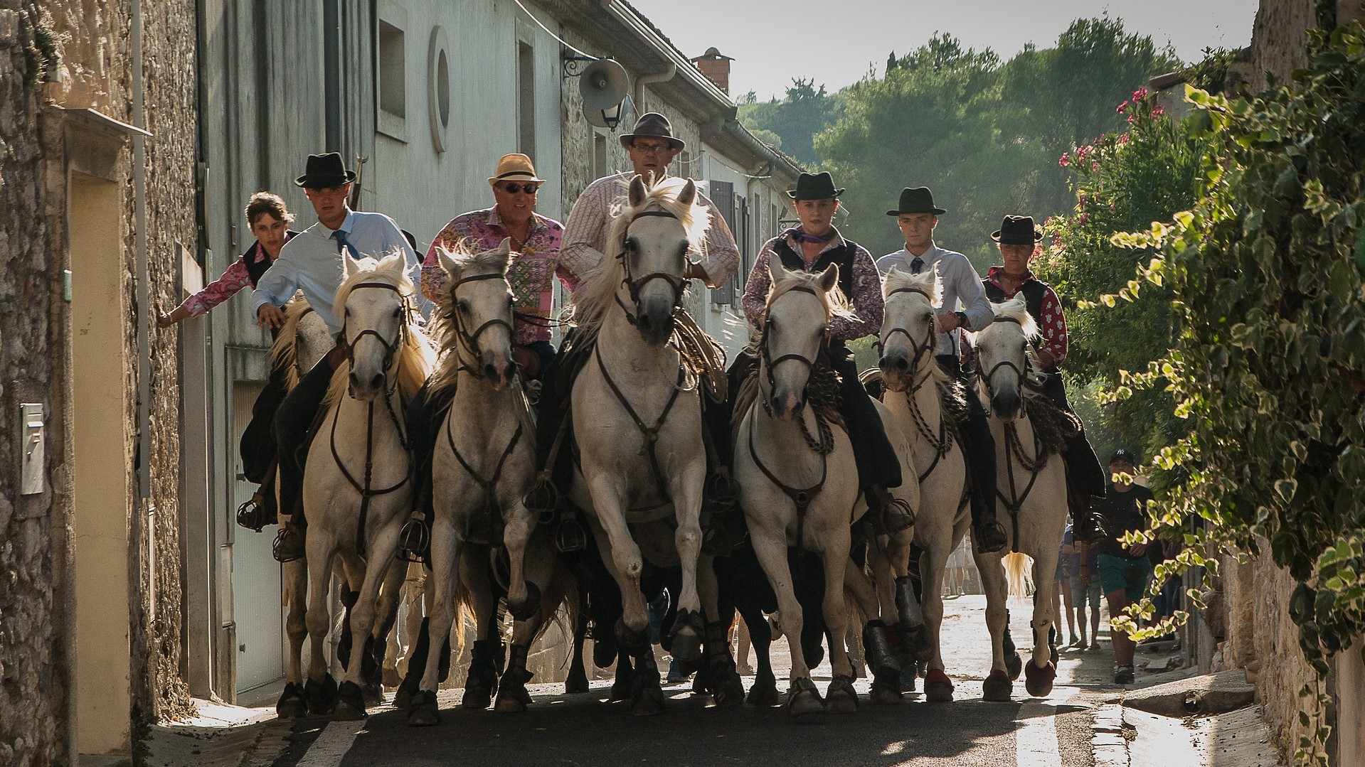 CAMARGUE (4)-compressed