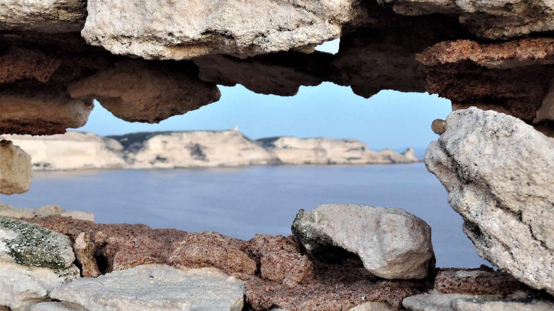 CORSE (19)-compressed