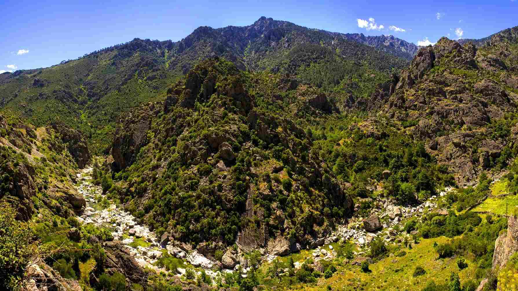 CORSE (37)-compressed