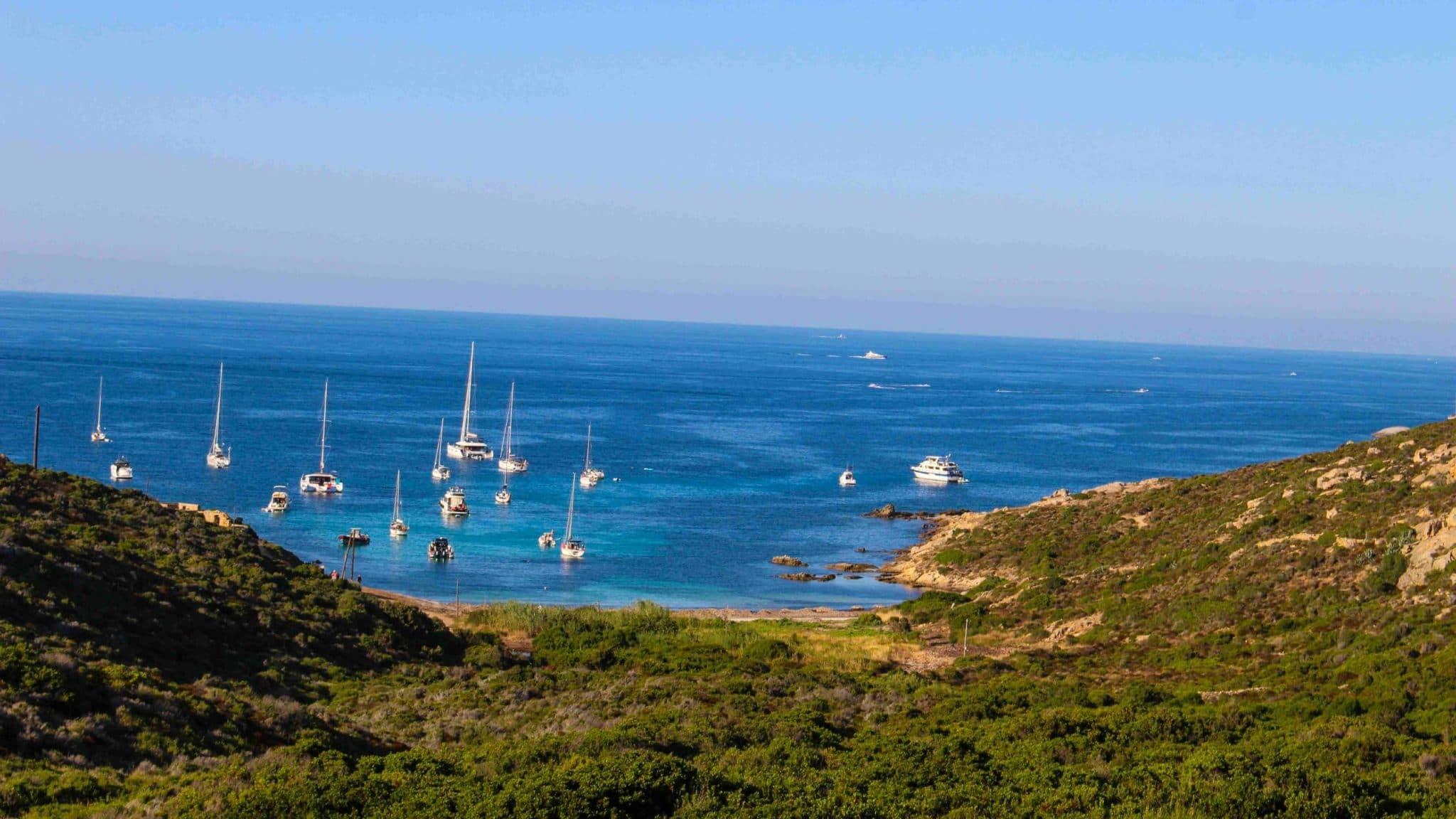 CORSE (49)-compressed