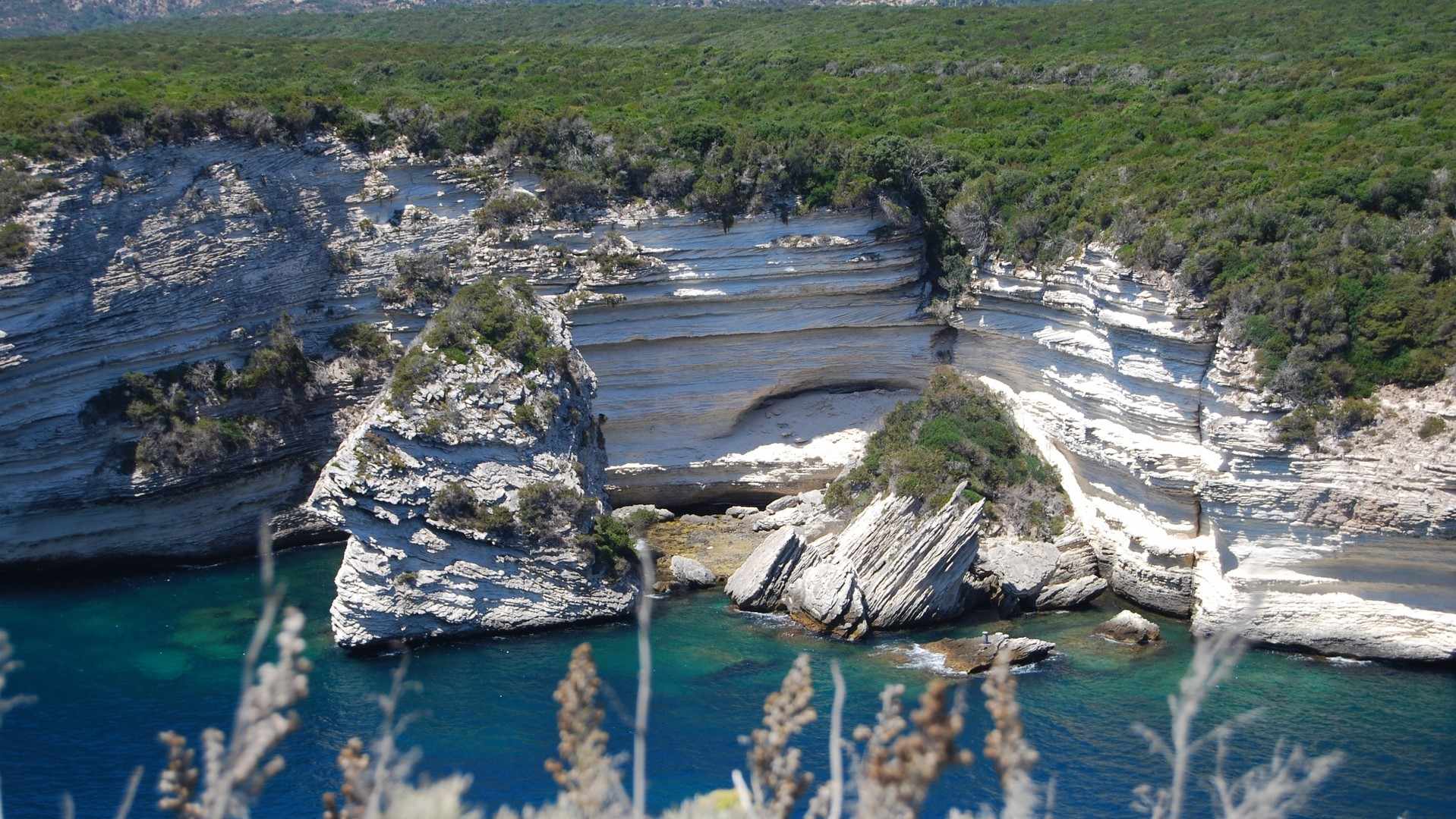 CORSE (6)-compressed