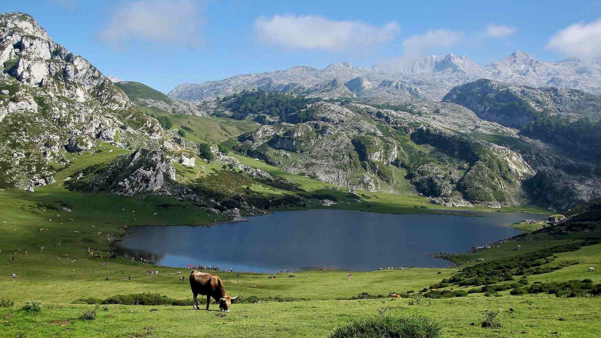 PYRENEES (4)-compressed
