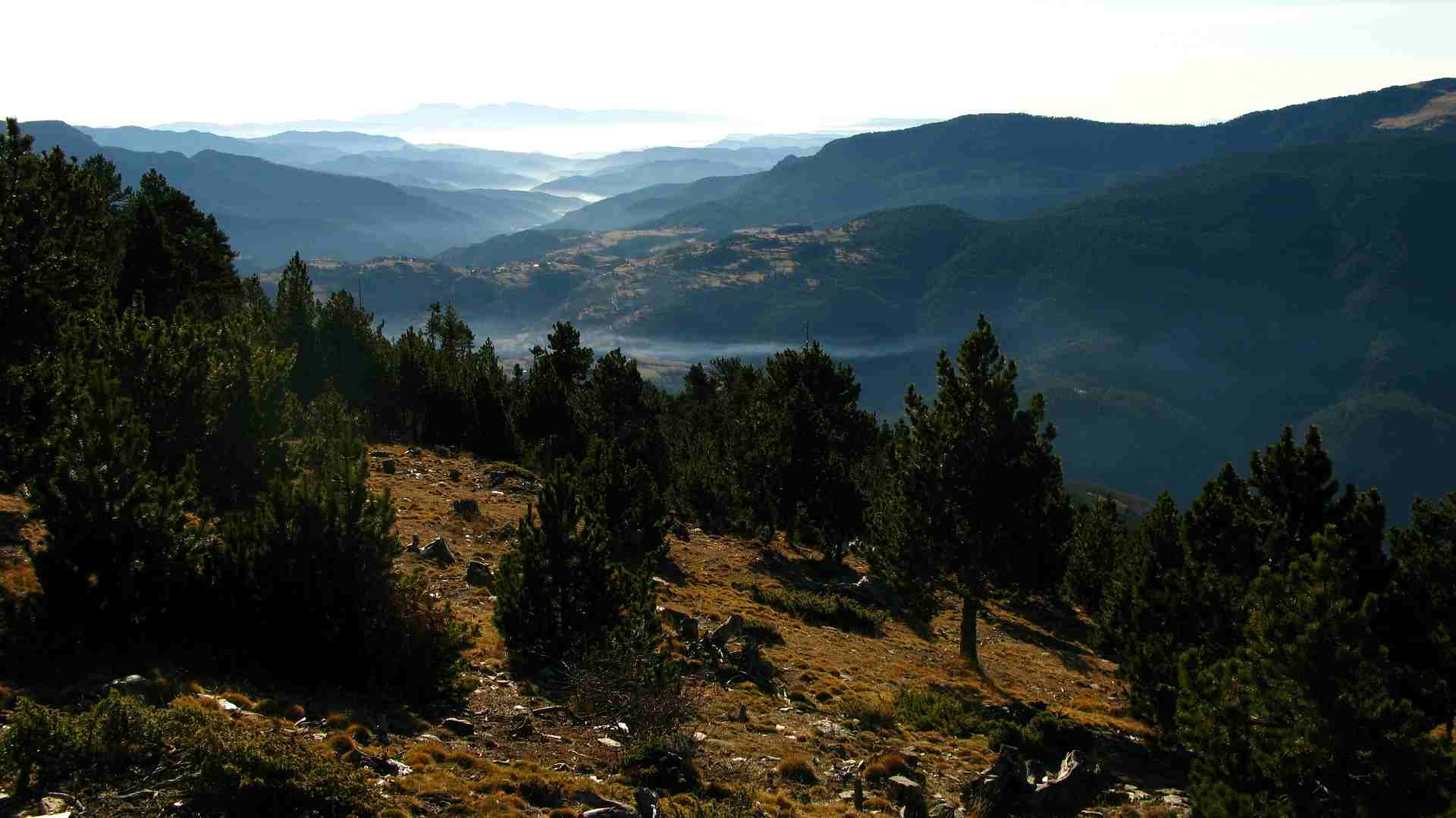 PYRENEES CATALANES (3)-compressed