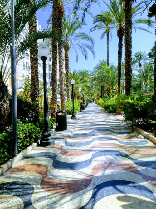 ALICANTE 8(2)