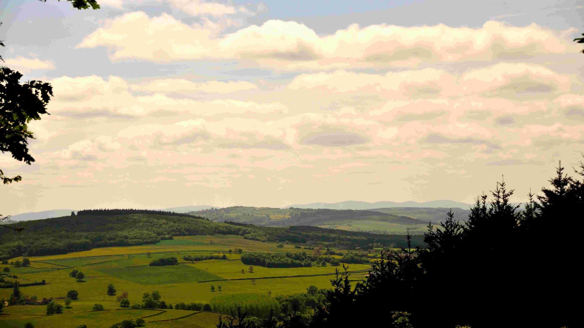 COTE D'OR - BOURGOGNE (3)-compressed
