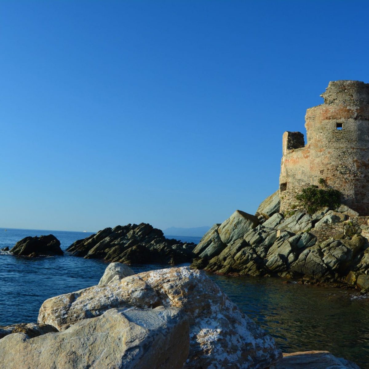 Tour génoise en ruinee à Erbalunga
