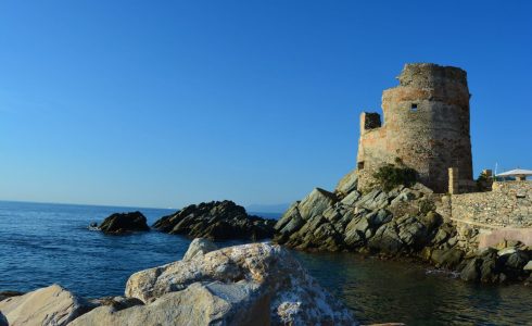 Tour génoise en ruinee à Erbalunga