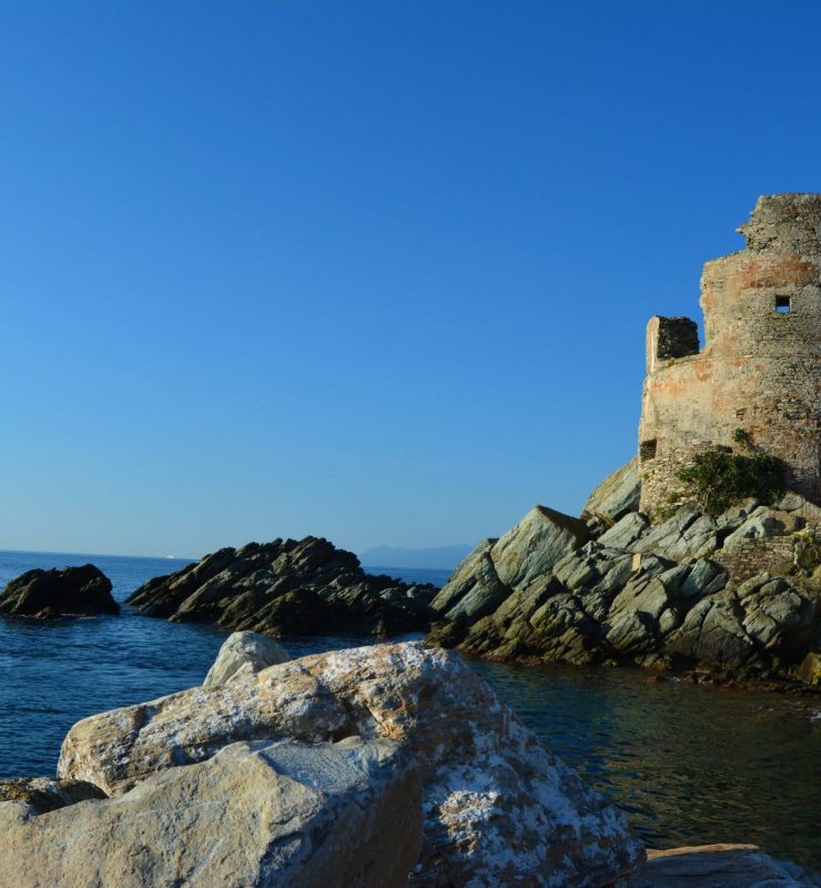 Tour génoise en ruinee à Erbalunga