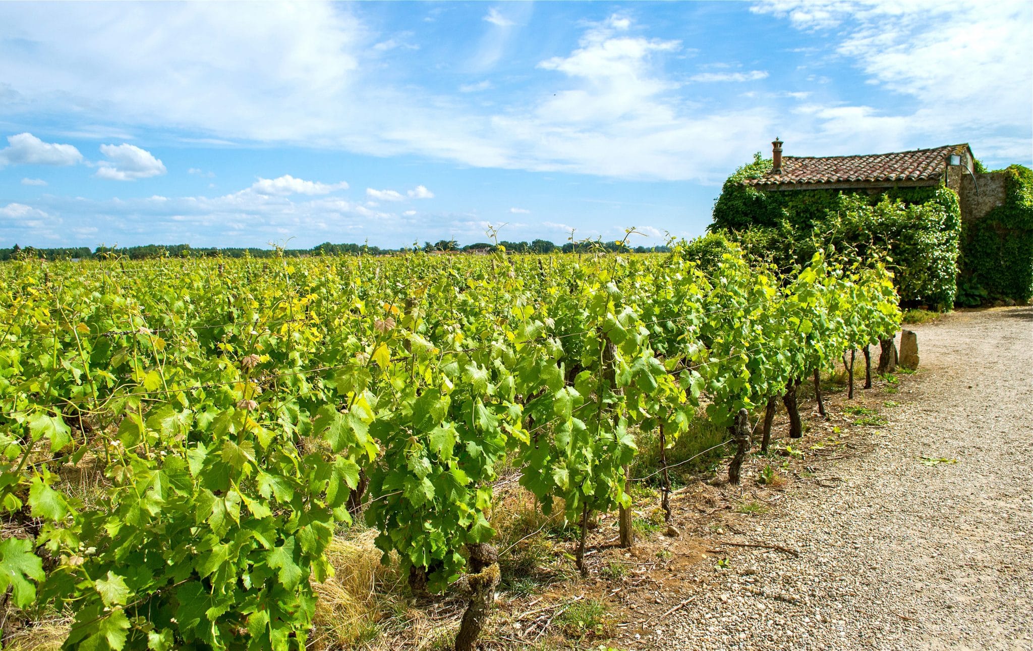 France-Gironde-Garonne-Bordeaux-Chateau-Simon©CroisiEurope