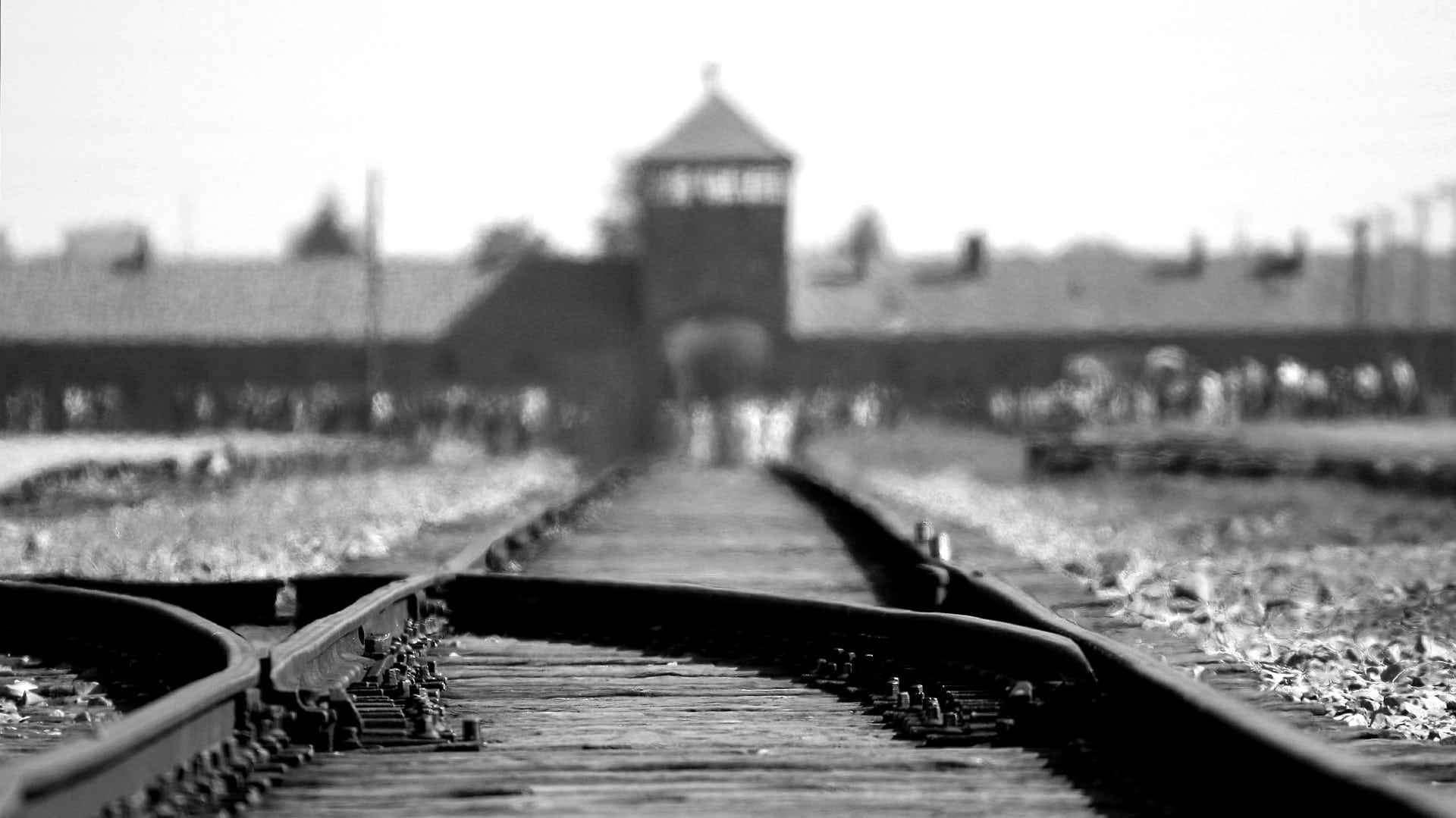 POLOGNE AUSCHWITZ (21)