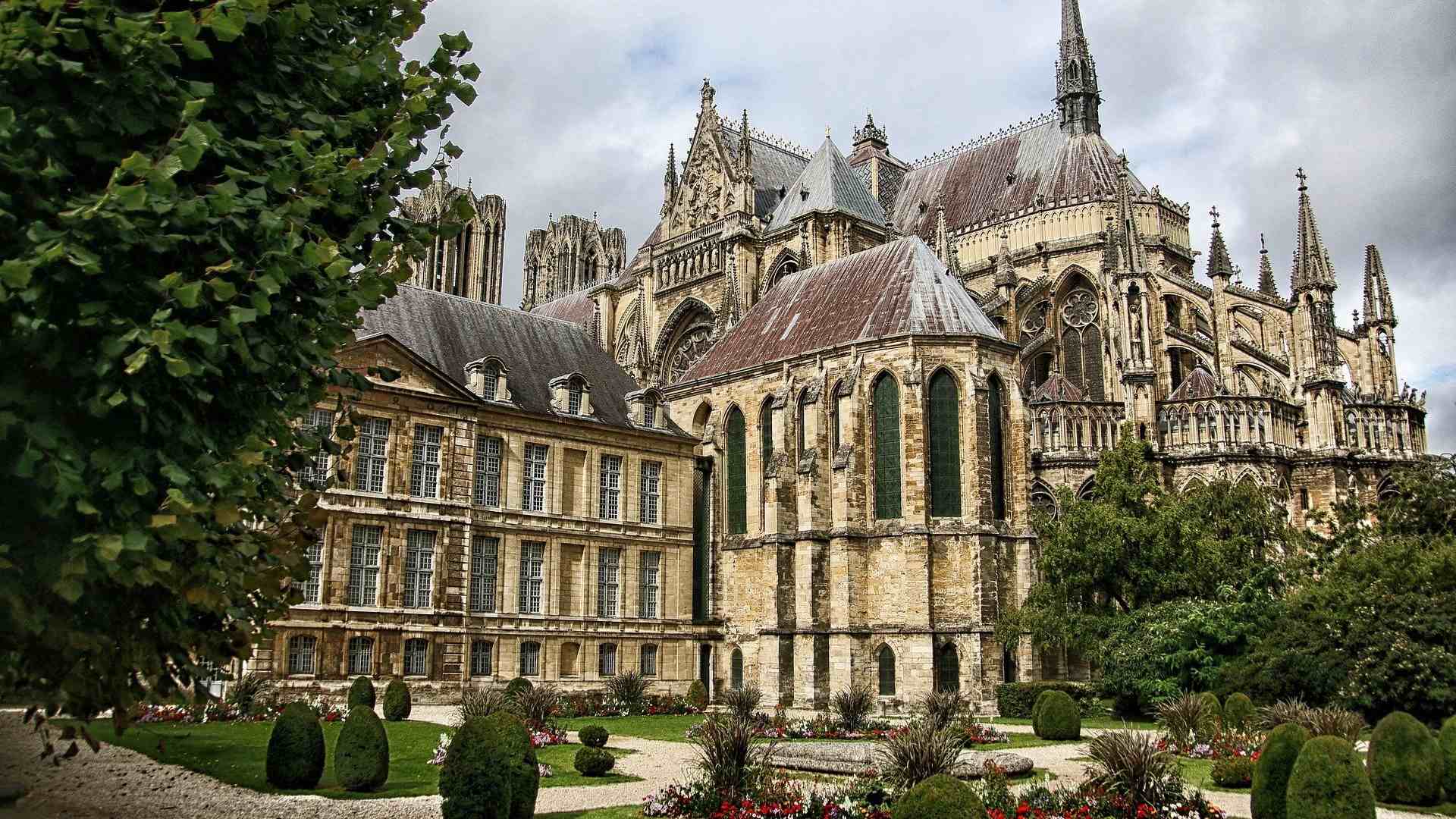 REIMS (1)-compressed