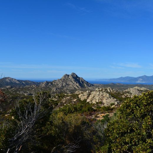 ROUTE ST FLORENT ILE ROUSSE 10 sept 20 (5) Le désert des Agriates