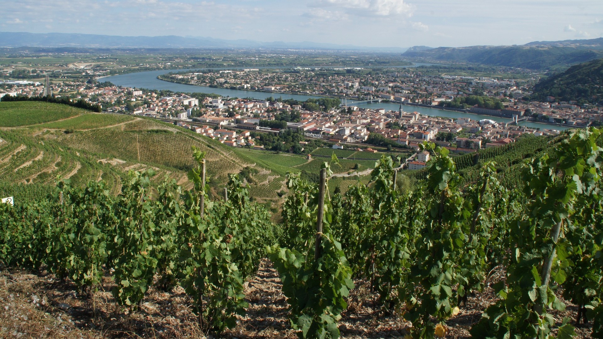 TAIN L'HERMITAGE