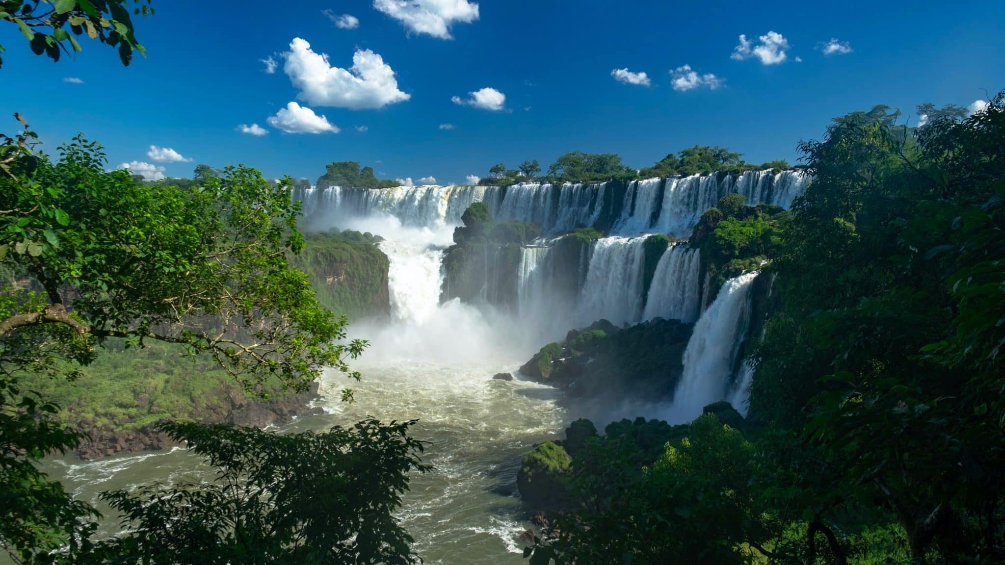 ARGENTINE (31)