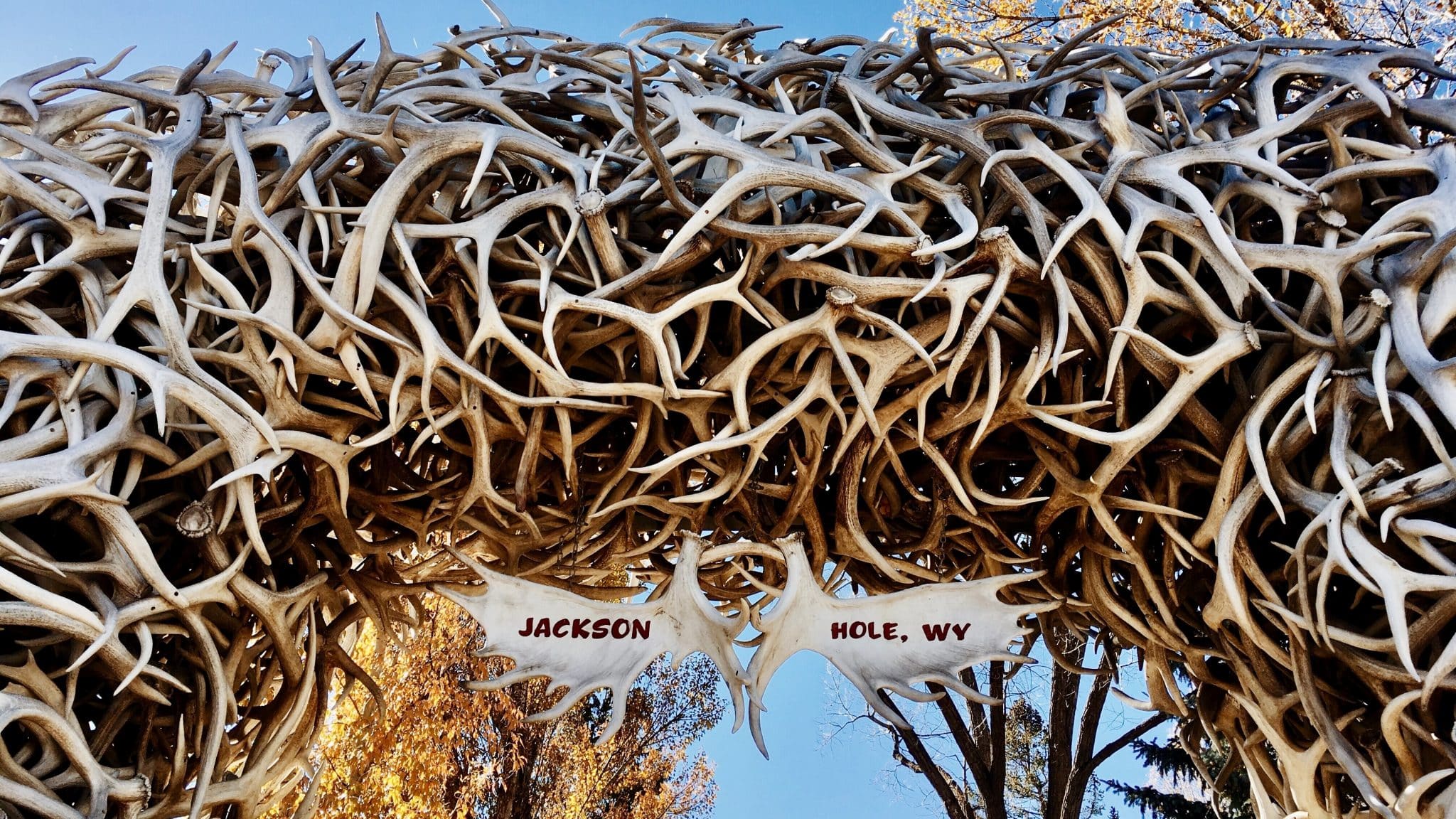 USA OUEST JACKSON HOLE (2b)