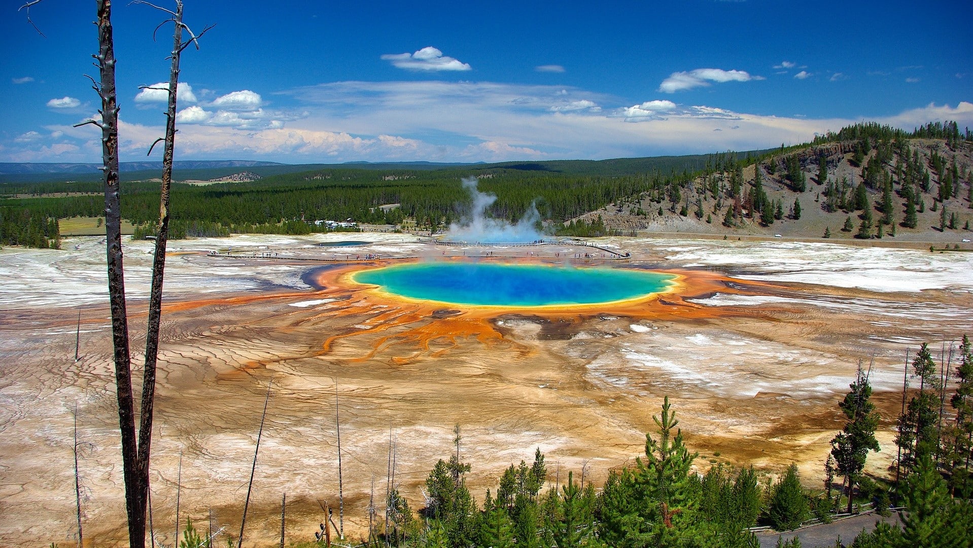USA OUEST YELLOWSTONE (28b)