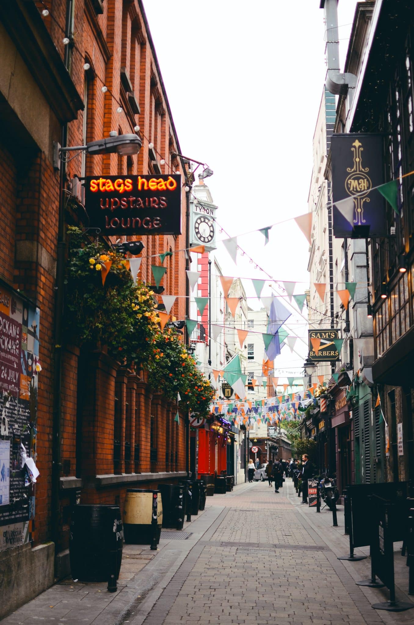 CORK (2)
