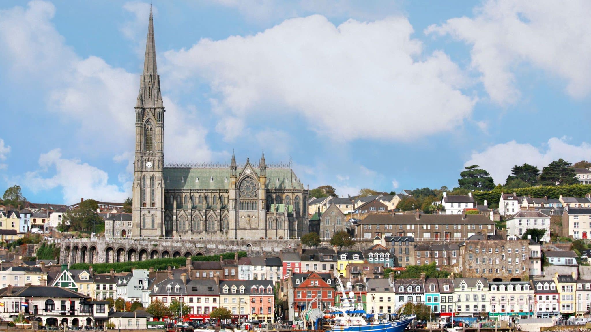 CORK (3b)